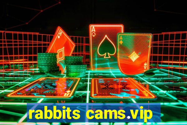 rabbits cams.vip